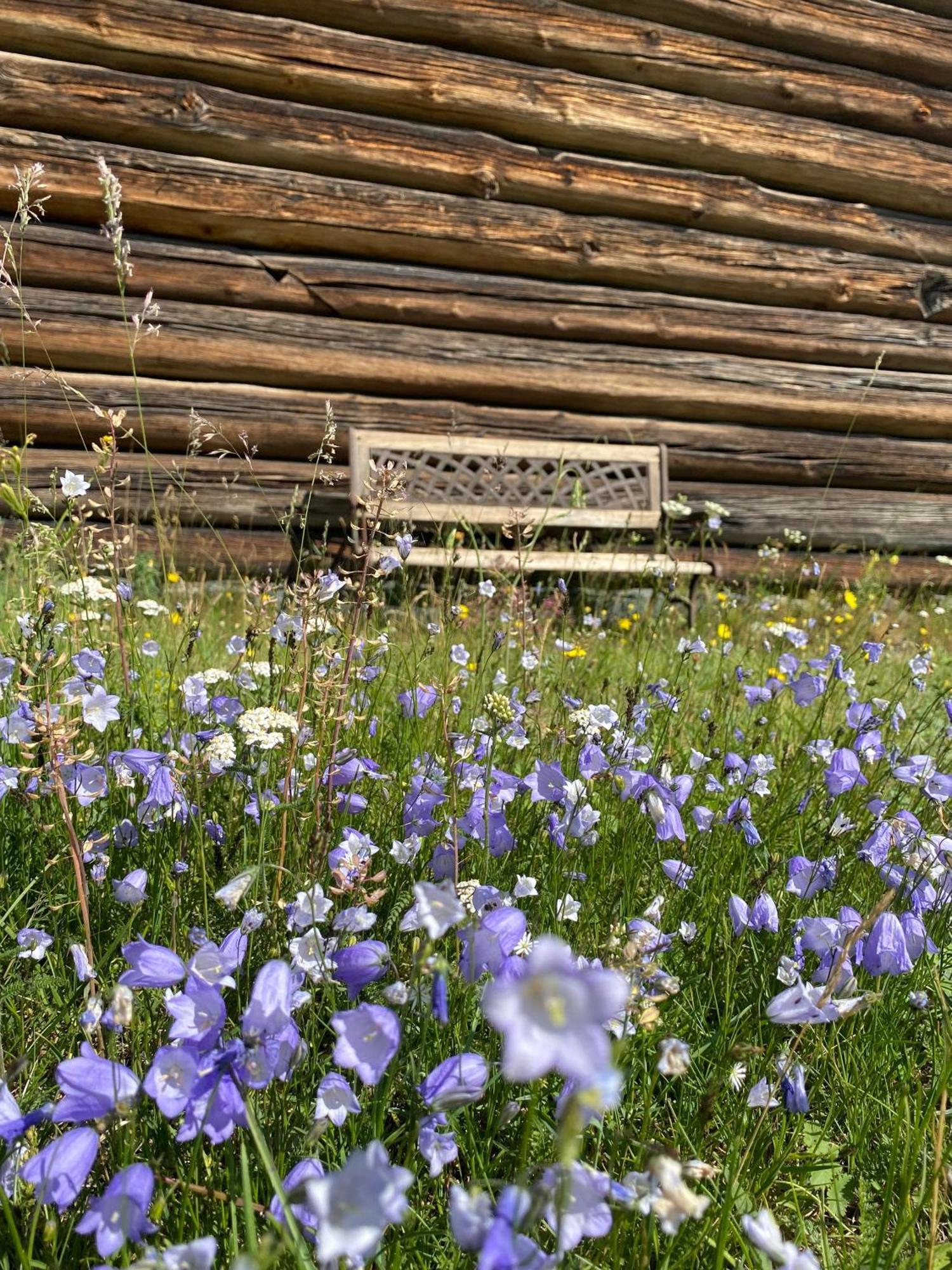 Sevletunet B&B And Cabins Rodberg Esterno foto